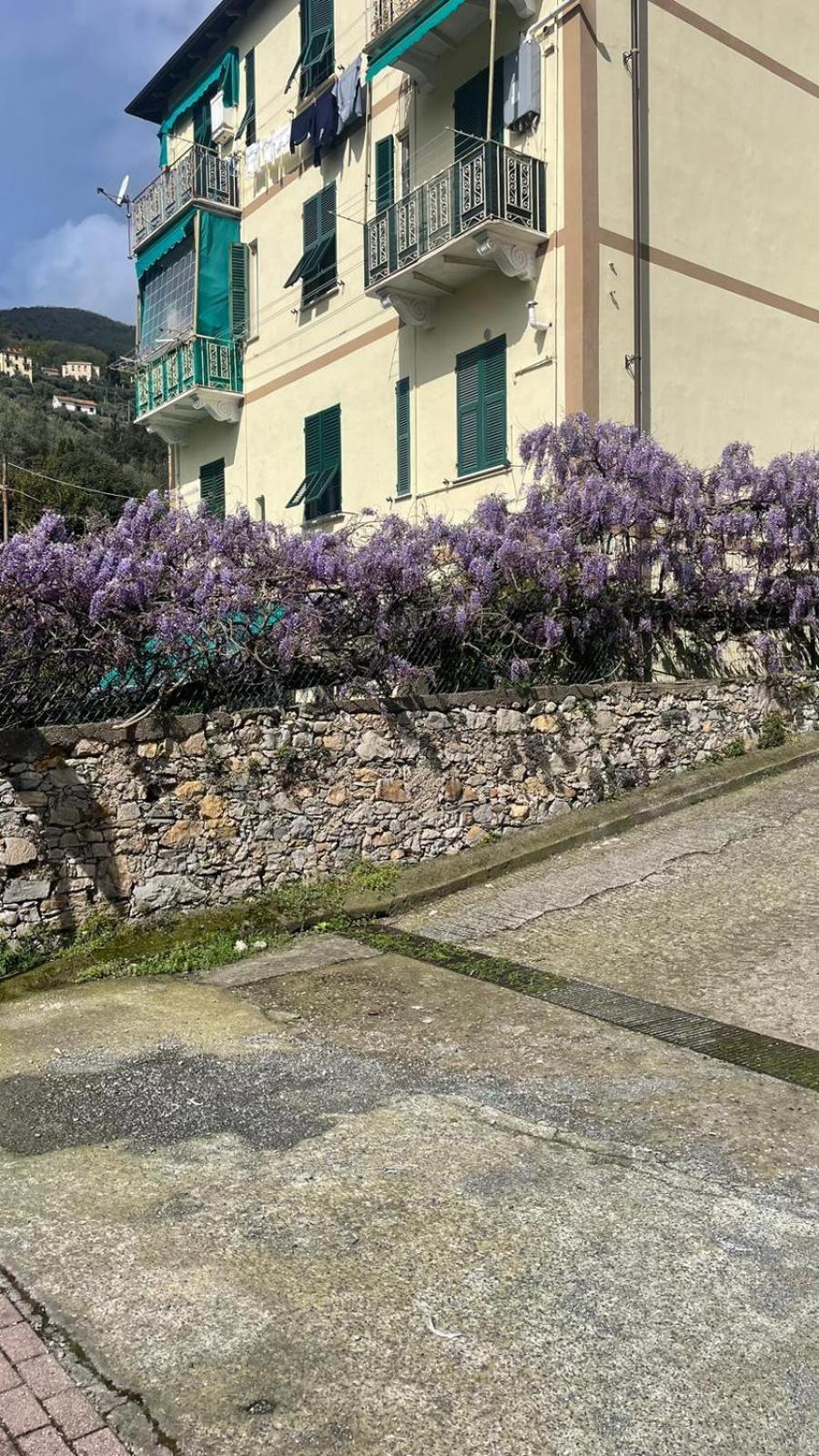 Chez Amelie Διαμέρισμα Λα Σπέτσια Εξωτερικό φωτογραφία